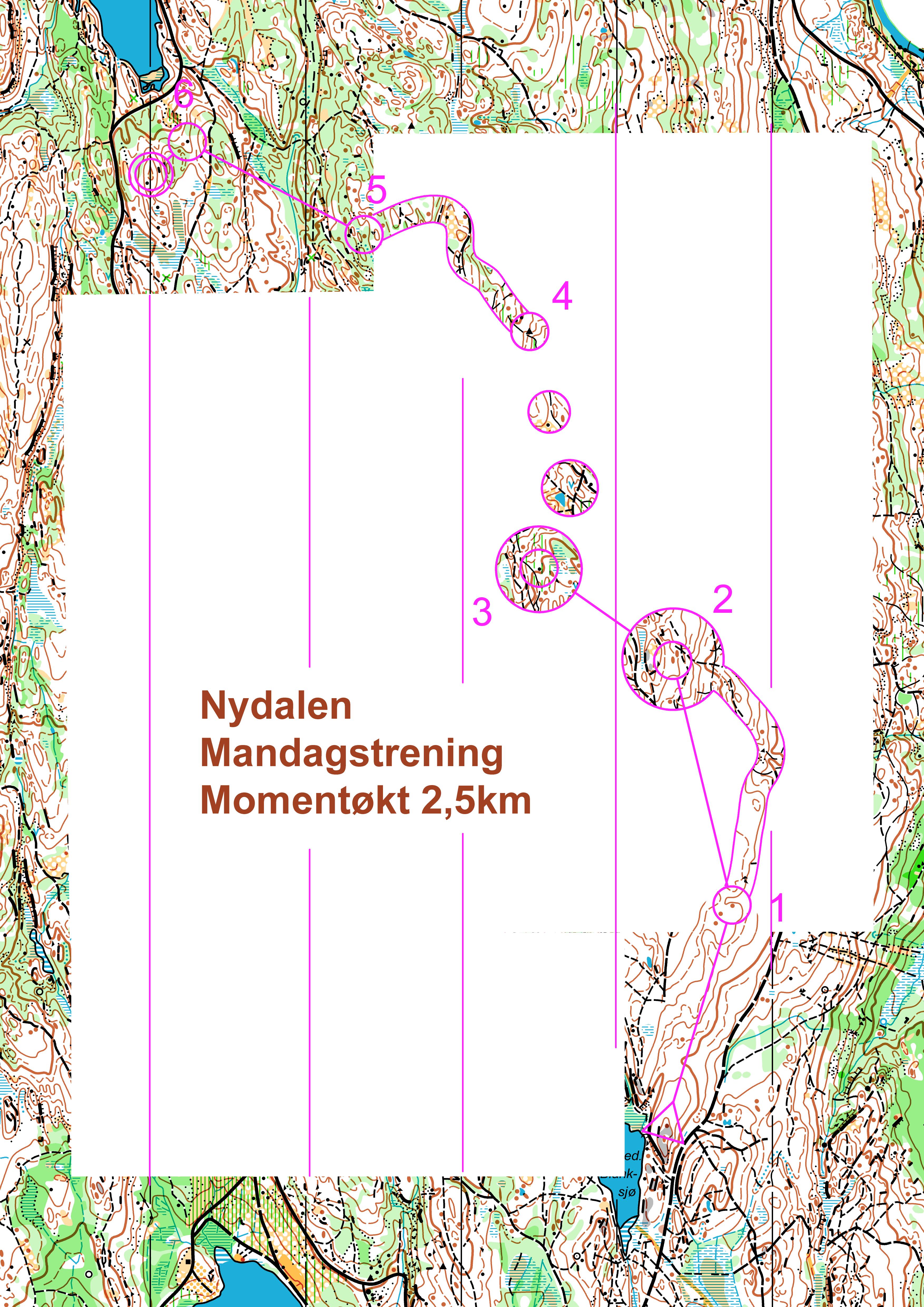 Nydalen Mandagstrening Nedre Blanksjø (2014-06-15)