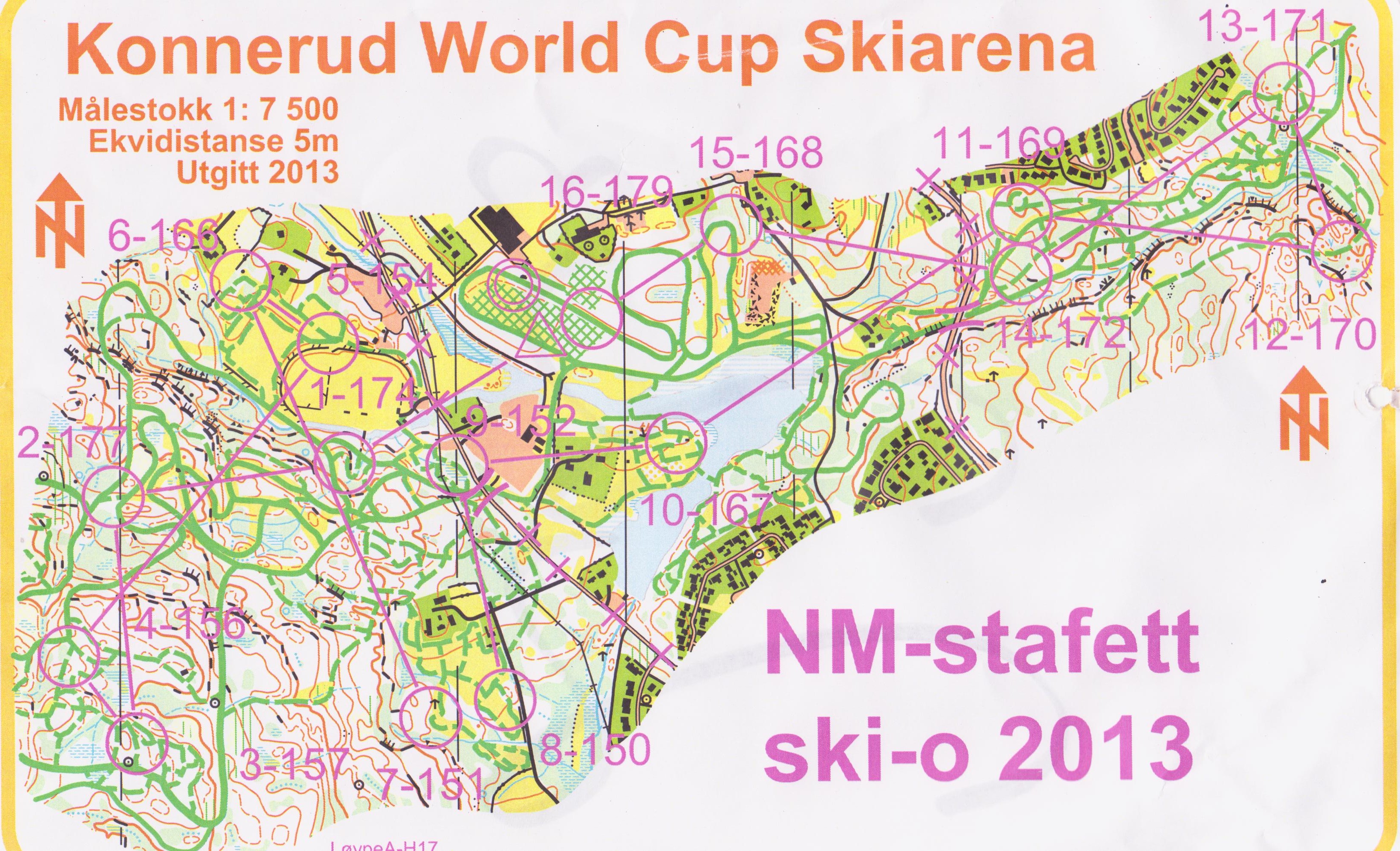 Ski-O NM-Stafett (2013-01-20)